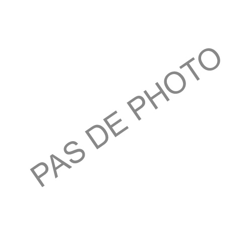 photo info Embouts pour Profil F209 noir satiné (1 droit+1 gauche)